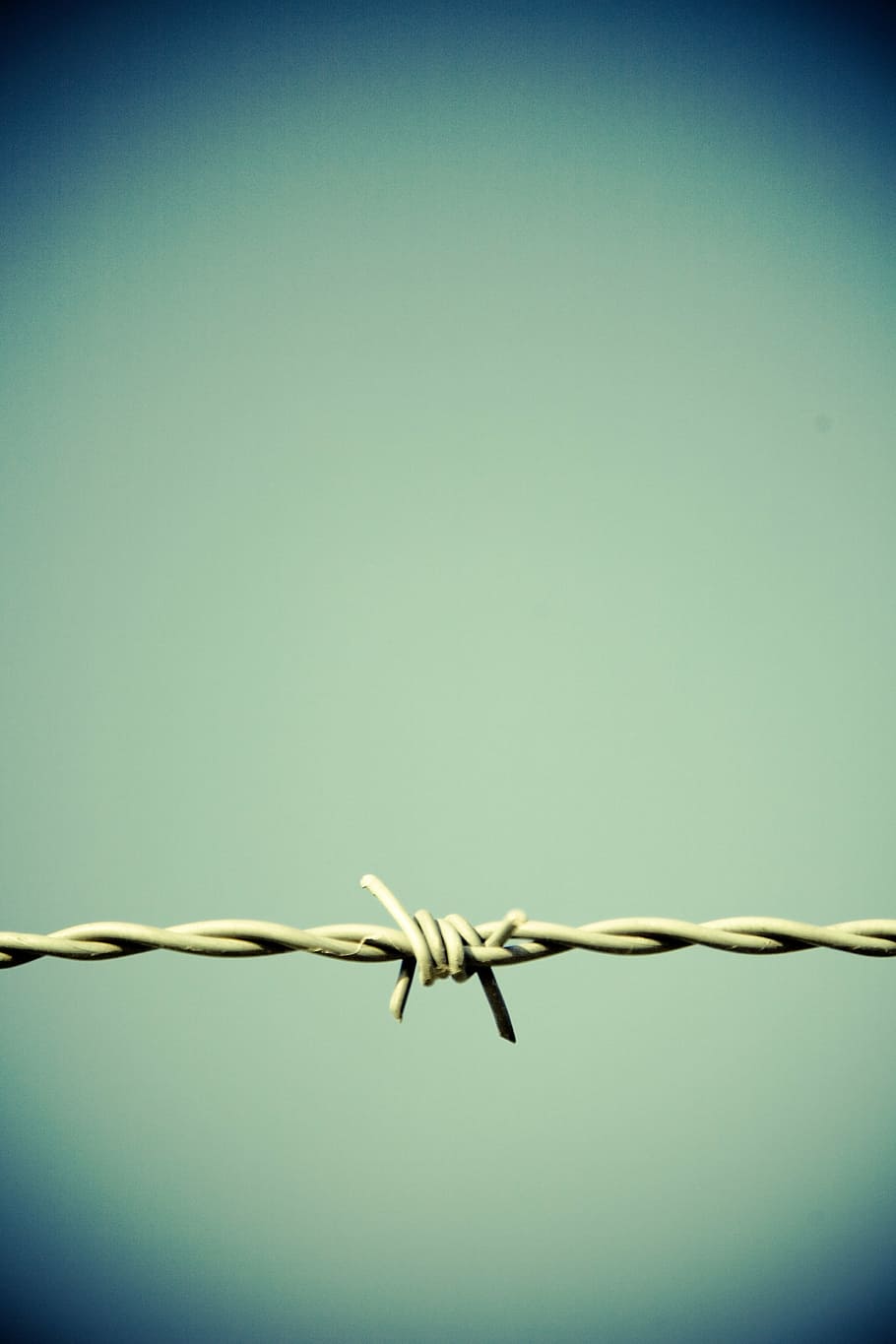 gray barbwire, barbed wire, fence, border, metal, thorn, verrostst, HD wallpaper