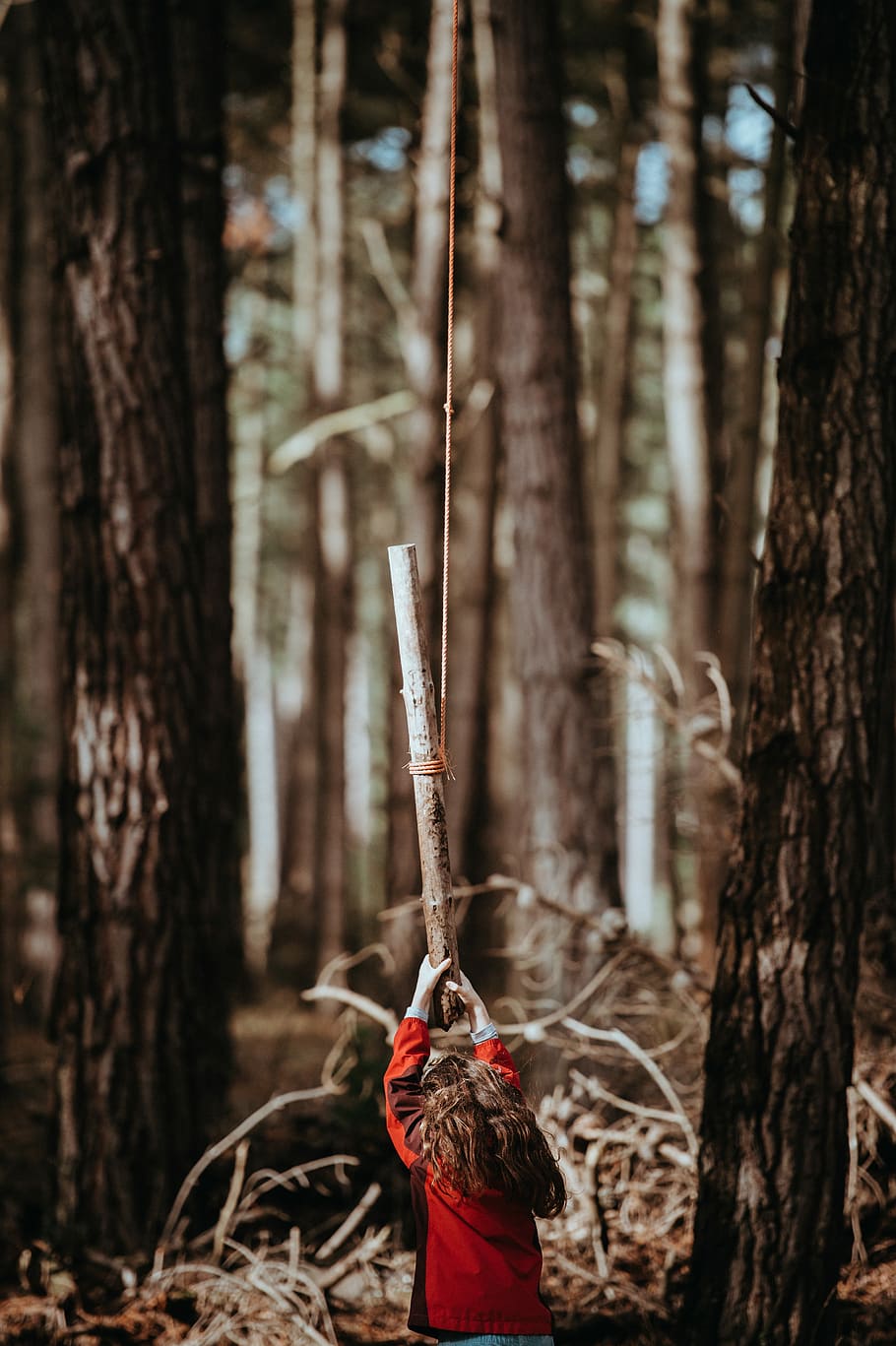 CHILD PLAYING WITH ROPE SWING, boy holding stick near tree during daytime HD wallpaper