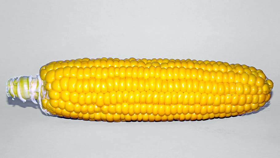 yellow corn, egypt, macro, studio, corner, food, stub, close HD wallpaper