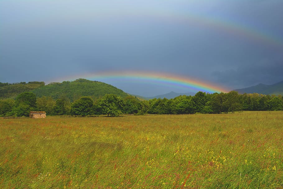 Rainbow, Sun, Cabin, Prairie, landscape, field, nature, beauty in nature, HD wallpaper