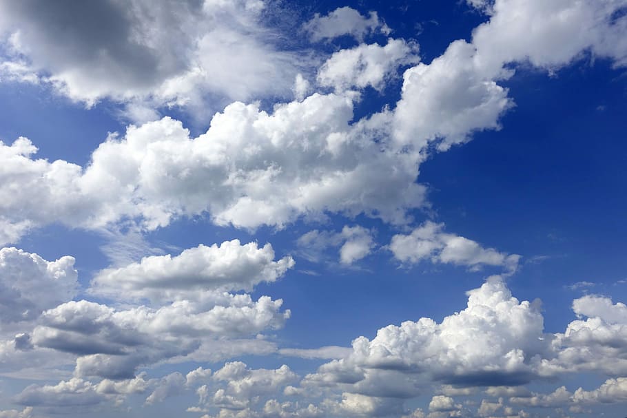 low angle photo of white clouds, sky, weather, cumulus clouds HD wallpaper