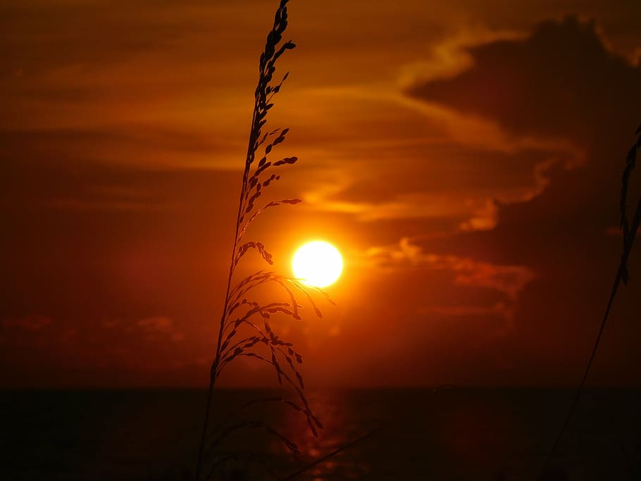 sun set, ocean, sunset sky, beach, water, sunlight, orange color HD wallpaper