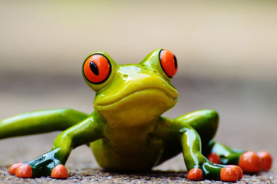 selective focus of green and red frog, funny, figure, cute HD wallpaper