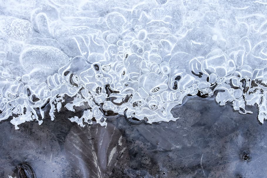 frost, ice, cold, sample, nature, winter, jégképződmény HD wallpaper