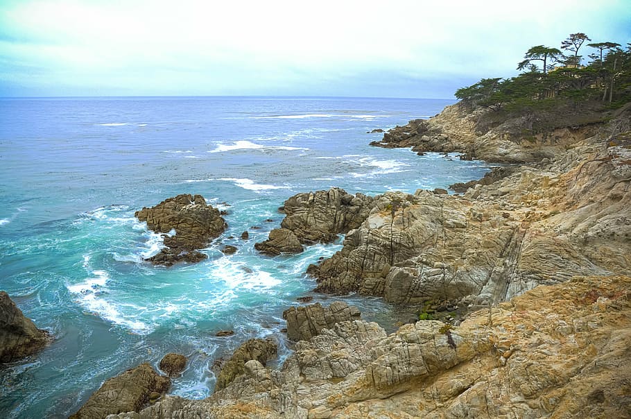 brown terrain near body of water, ocean, san francisco, rocks HD wallpaper