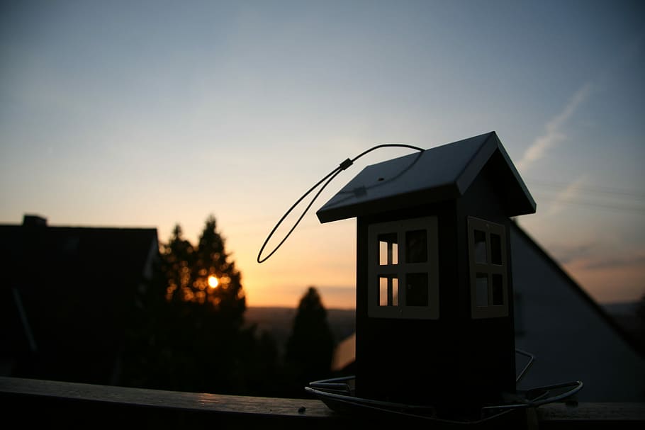 Bird Feeder, Sunset, Evening, dusk, sky, outdoors, silhouette HD wallpaper