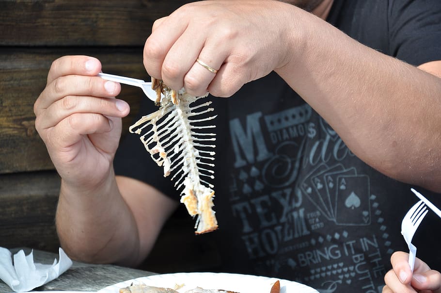 fish, fishbone, clear, mat, hand, one person, holding, human hand HD wallpaper