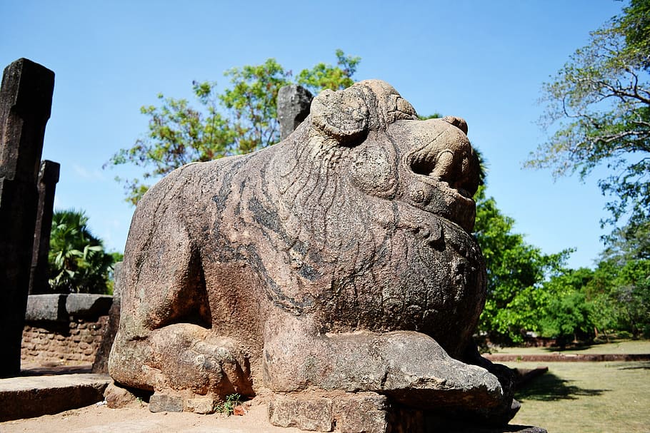 polonnaruwa, ancient ruins, historic, king, castle, buddhism