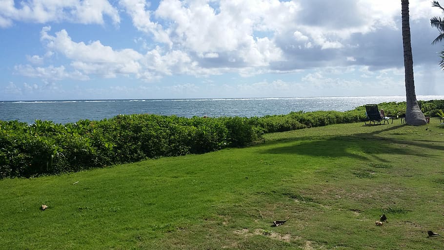 paradise, beach, beauty, sky, plant, sea, water, cloud - sky HD wallpaper