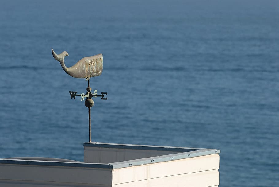 Weathercock, Windvane, Forecast, indicator, meteorology, direction HD wallpaper