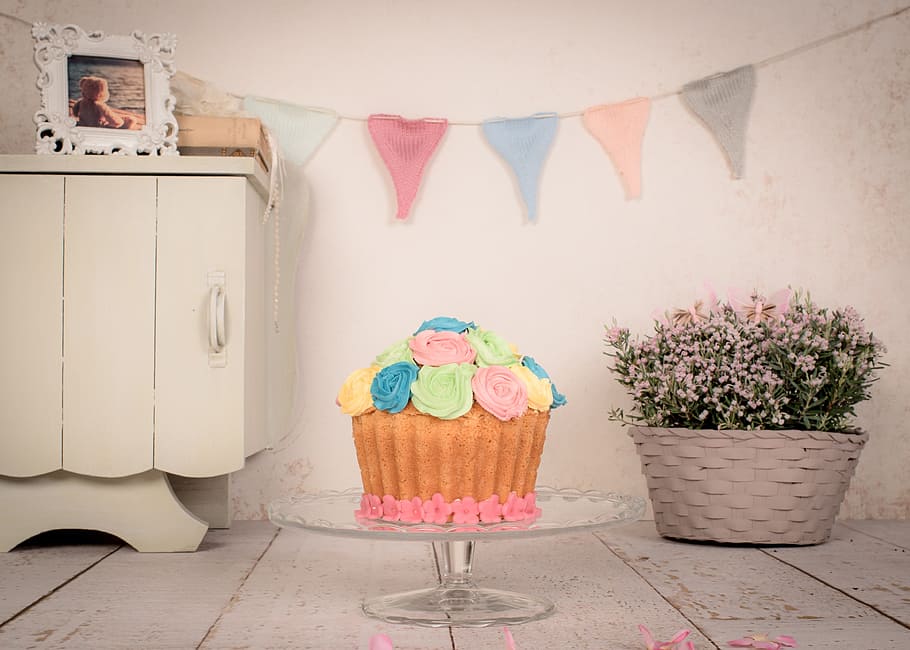 cake with icing on glass footed cake rack, birthday, plant HD wallpaper