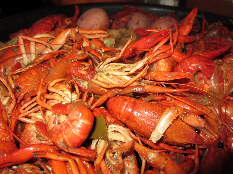 crawfish-food-boiled-new-orleans.jpg