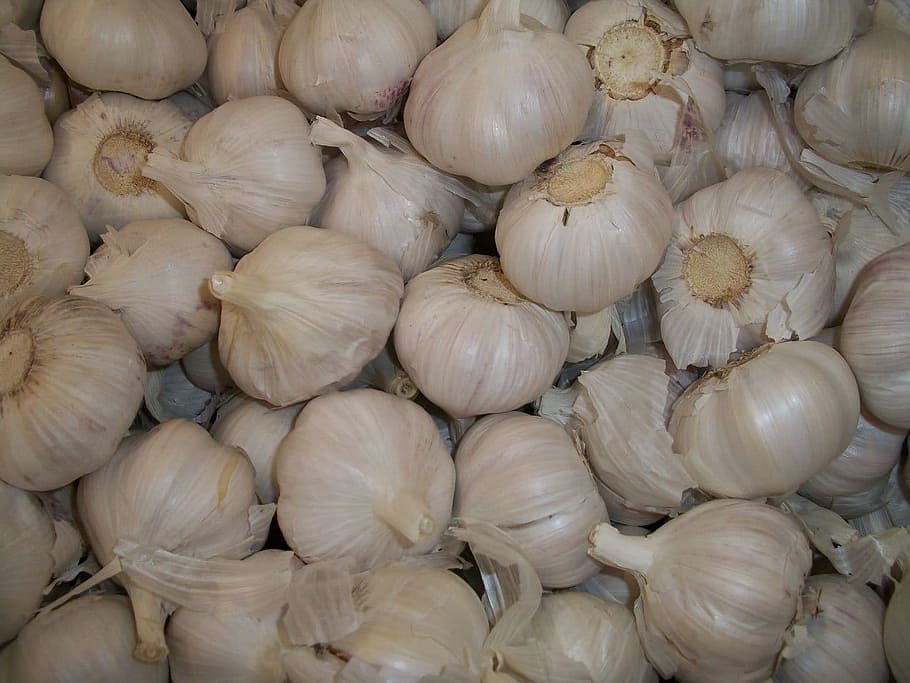 Garlic, Clove, Spice, seasoning, flavoring, ingredient, food, HD wallpaper