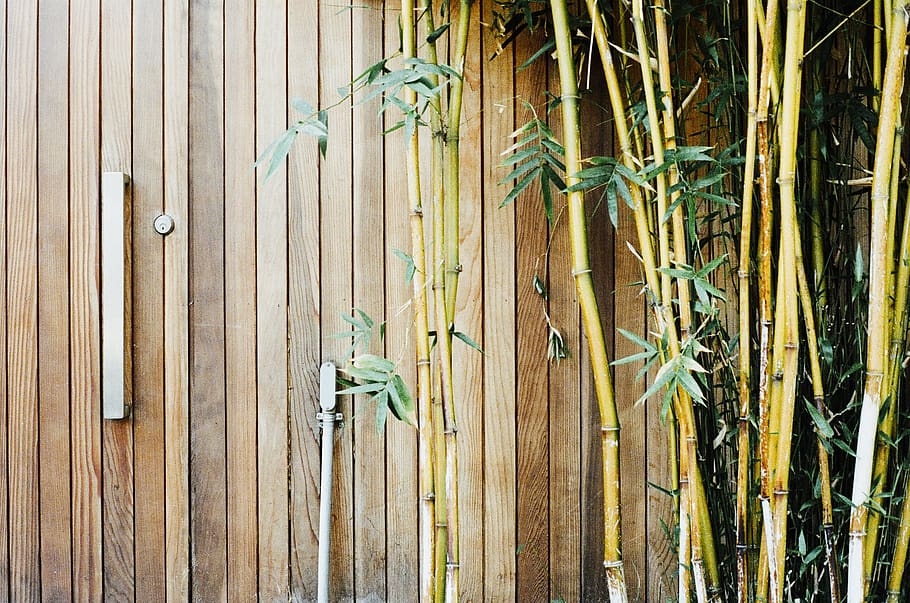 wood, bamboo, gate, lock, branches, wood - material, full frame HD wallpaper