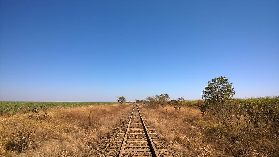 Railroad, Train, Tree, Grass, sky, railroad track, transportation HD wallpaper