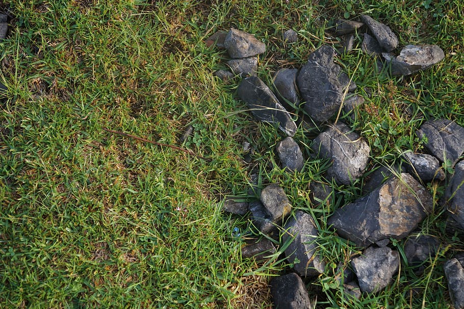 pebbles, stones, soil, rocks, plant, grass, land, high angle view HD wallpaper