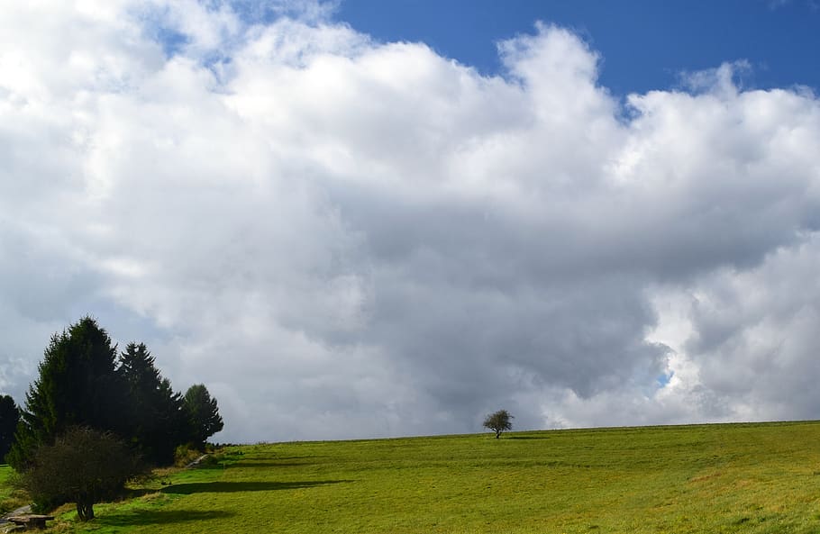 panorama, clouds, nature, landscape, tree, sky, grass, cloud - sky HD wallpaper