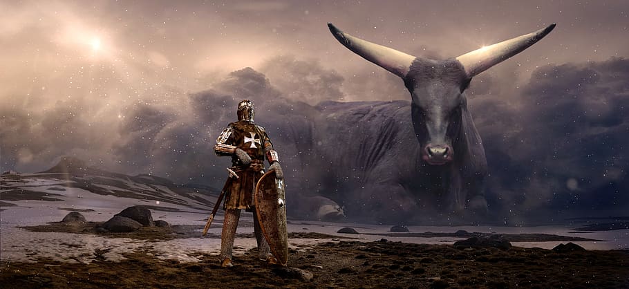 gladiator holding shield wallpaper, fantasy, knight, beef, clouds, HD wallpaper