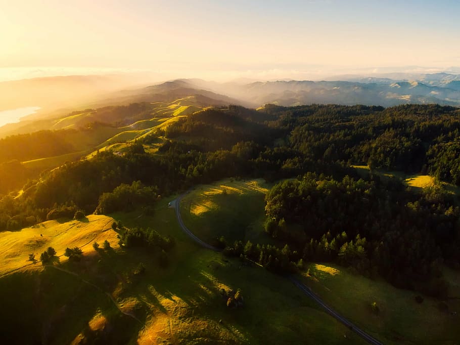 aerial photo of lush field and forest during golden hour, mountains HD wallpaper