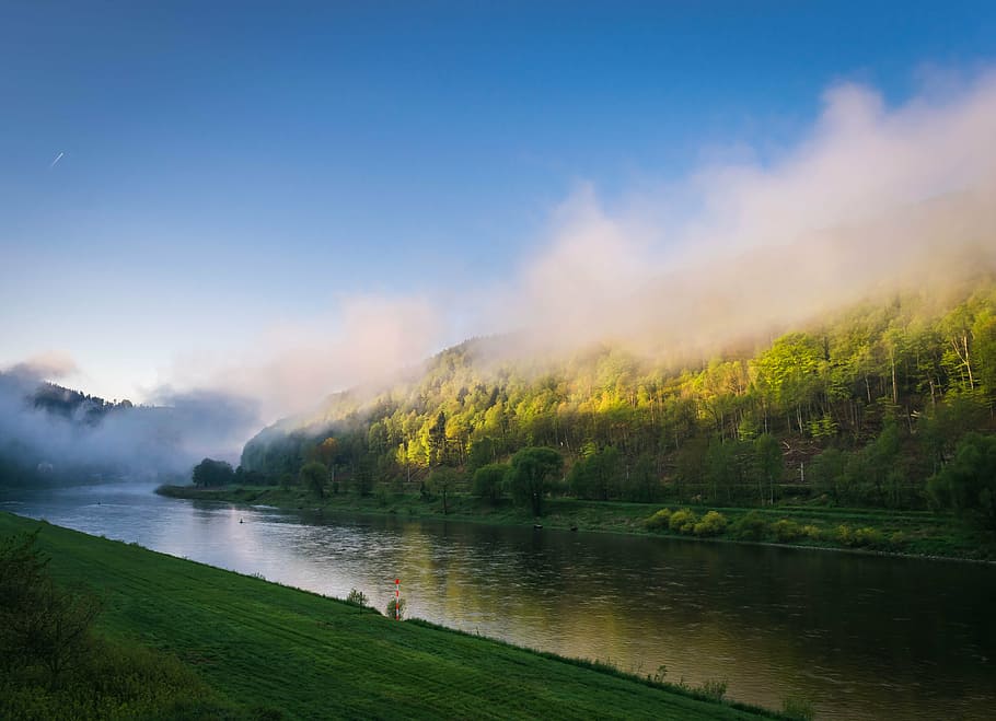 river between trees, fog, elbe, sun, landscape, water, morning HD wallpaper