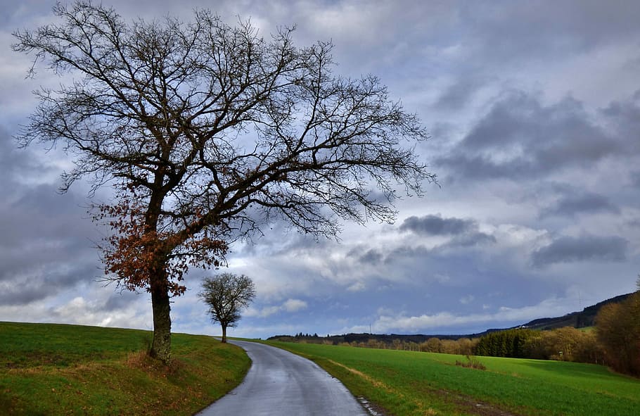 Landscape with tree and clouds in Luxembourg, photos, landscapes, HD wallpaper