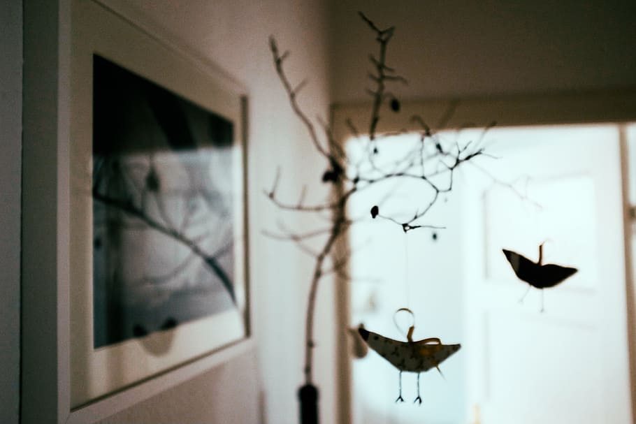 Decorative birds, objects, other, window, indoors, no People HD wallpaper