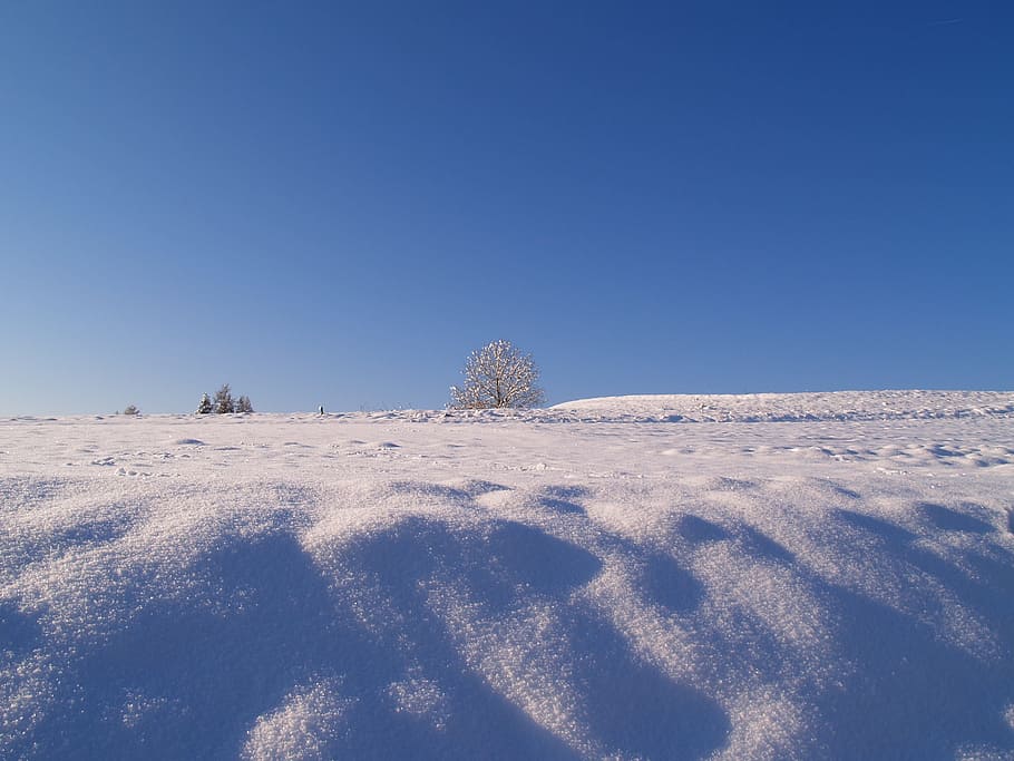 Snow, Winter, Wintry, Landscape, Day, open spaces, cold, beauty HD wallpaper