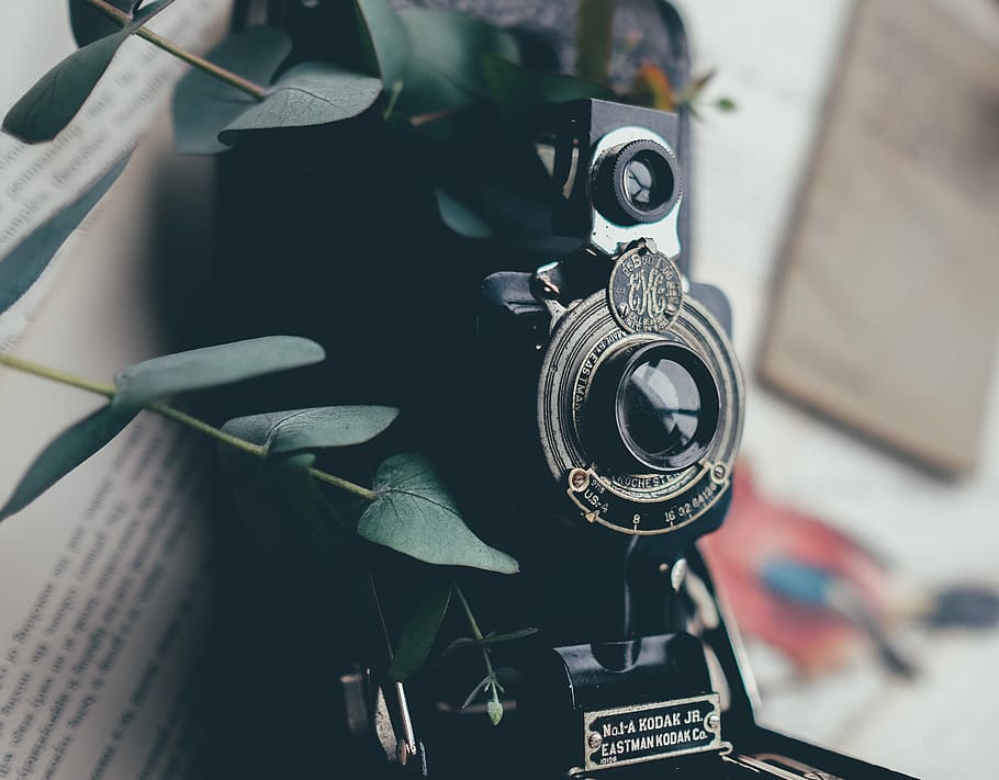black camera beside green leafed plant, equipment, technology HD wallpaper