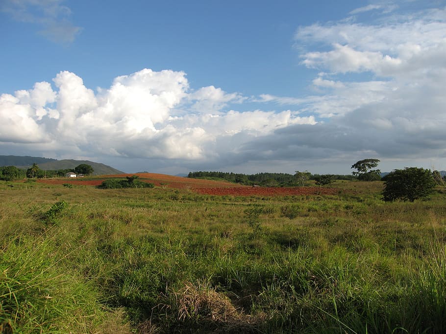green plant field under blue sky, red earth, landscape, cuba HD wallpaper