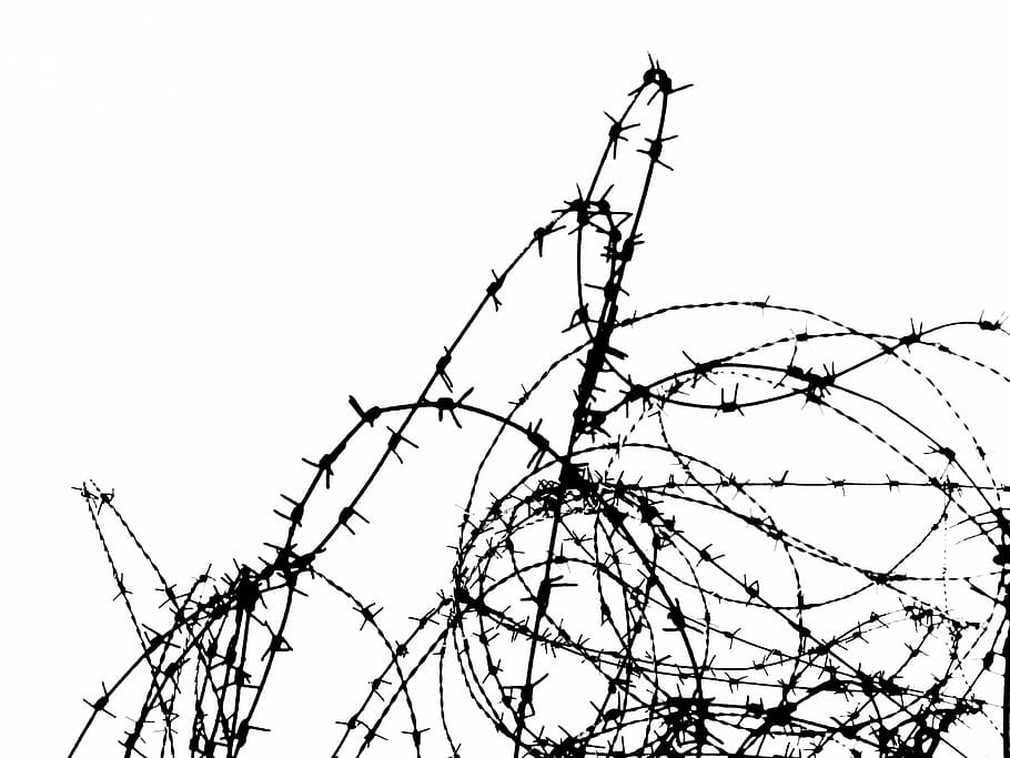 barbwire, fense, border, protection, black and white, protected HD wallpaper