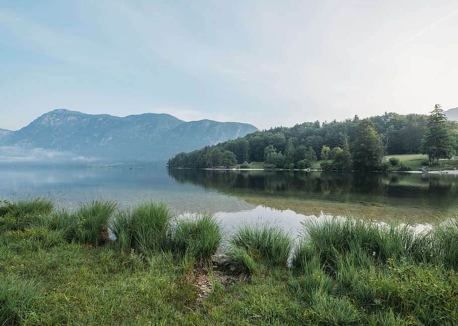 green field of grass near swamp during daytime, lake, mountain HD wallpaper