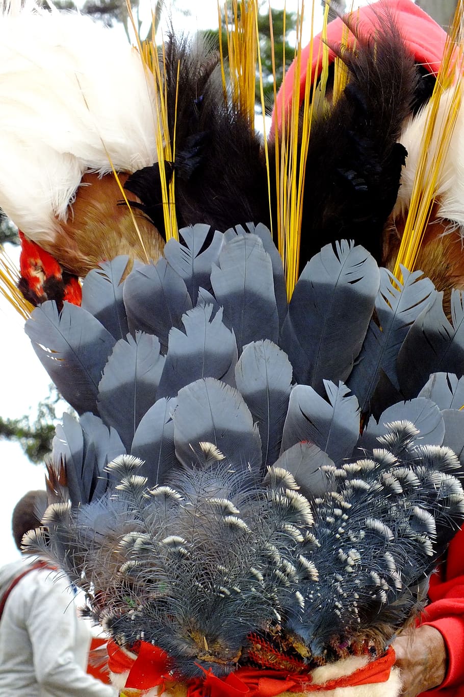 feathers, grey, crown, decorated, day, close-up, flower, real people HD wallpaper