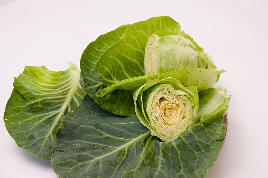 pointed cabbage, kohl, vegetables, food, fresh, leaves, green, HD wallpaper