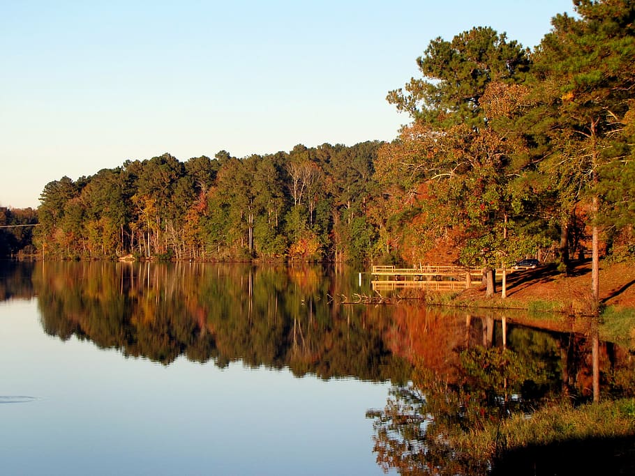 body of water near high trees during daytime, lake, landscape HD wallpaper