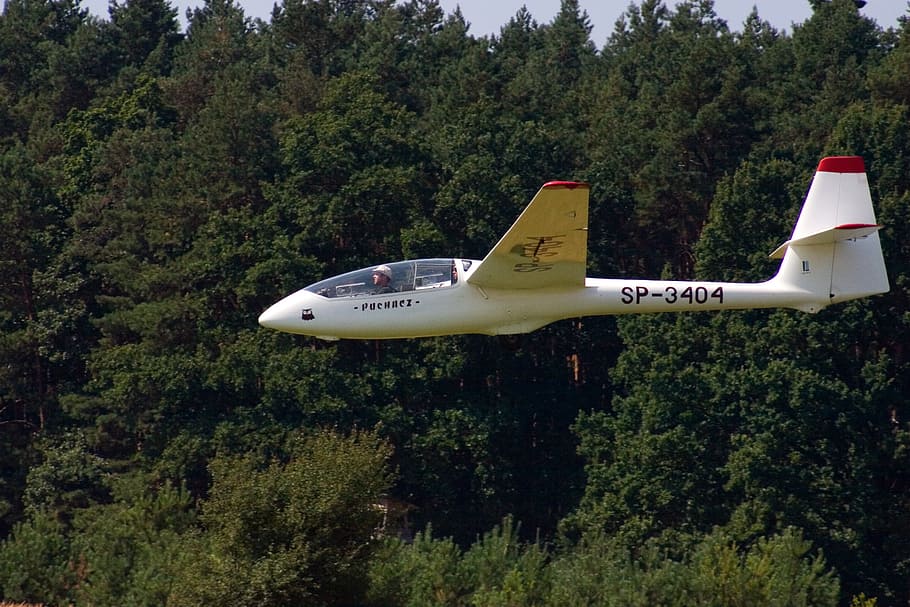 glider, fly, landing, tree, mode of transportation, plant, air vehicle HD wallpaper