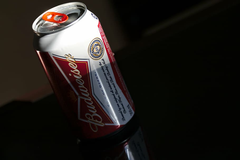 beer, drink, alcohol, indoors, black background, studio shot HD wallpaper