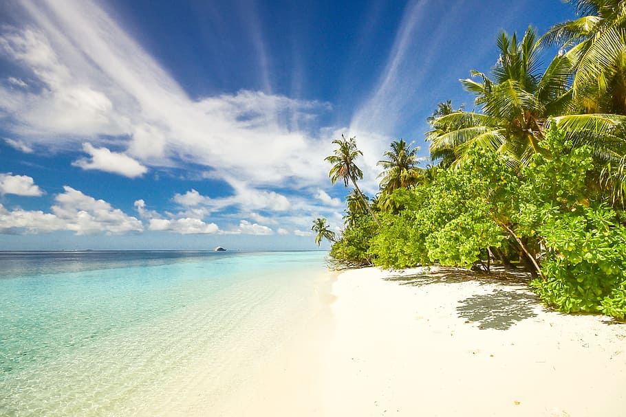 sea, sky, beach, sand, calm, clouds, coconut trees, exotic, idyllic HD wallpaper