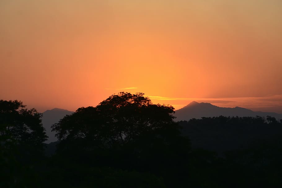 sunset, silhouette, ceu, peace, beauty in nature, tree, tranquility HD wallpaper