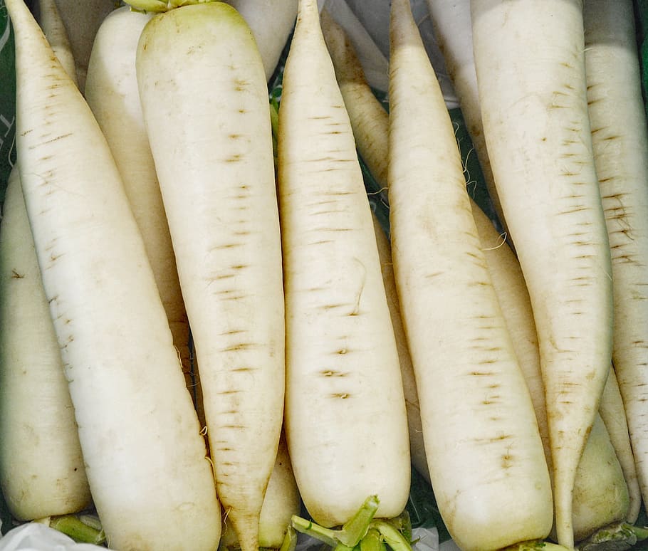 white radishes, icicle radishes, vegetables, food and drink, healthy eating