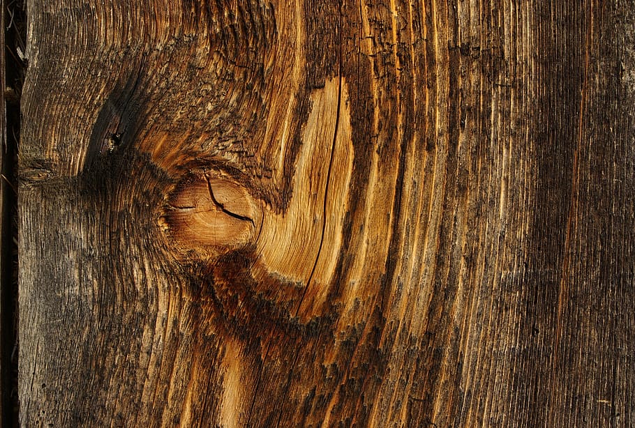 wood, board, structure, surface, old, background, cut off, texture HD wallpaper