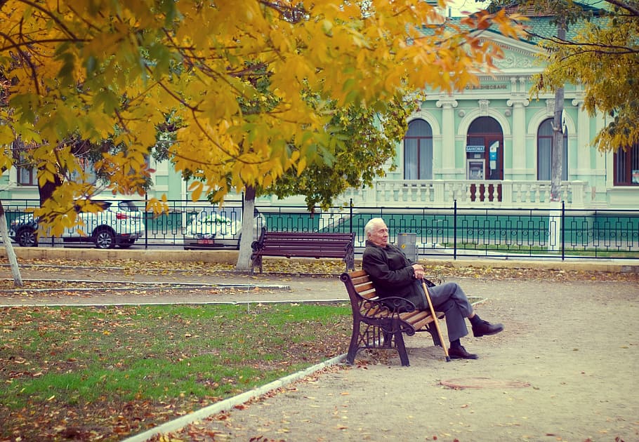 man sitting on brown wooden bench with cast-iron frame, pensioner, HD wallpaper