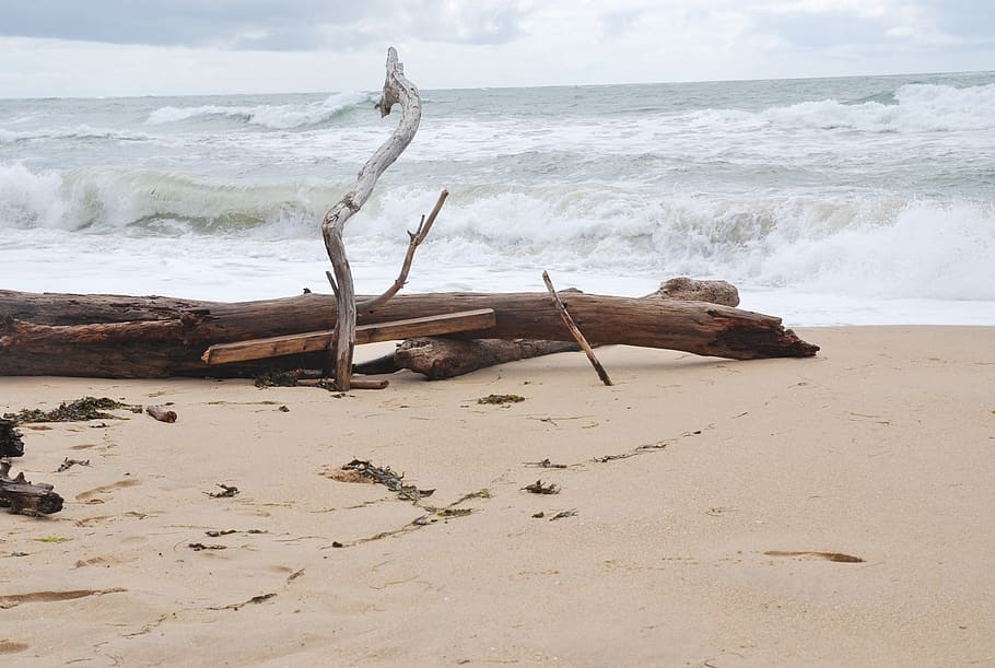 ocean, waves, beach, atlantic, scum, landscape, driftwood, oléron HD wallpaper