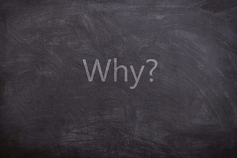 why? text, questions, chalkboard, texture, white, blackboard HD wallpaper