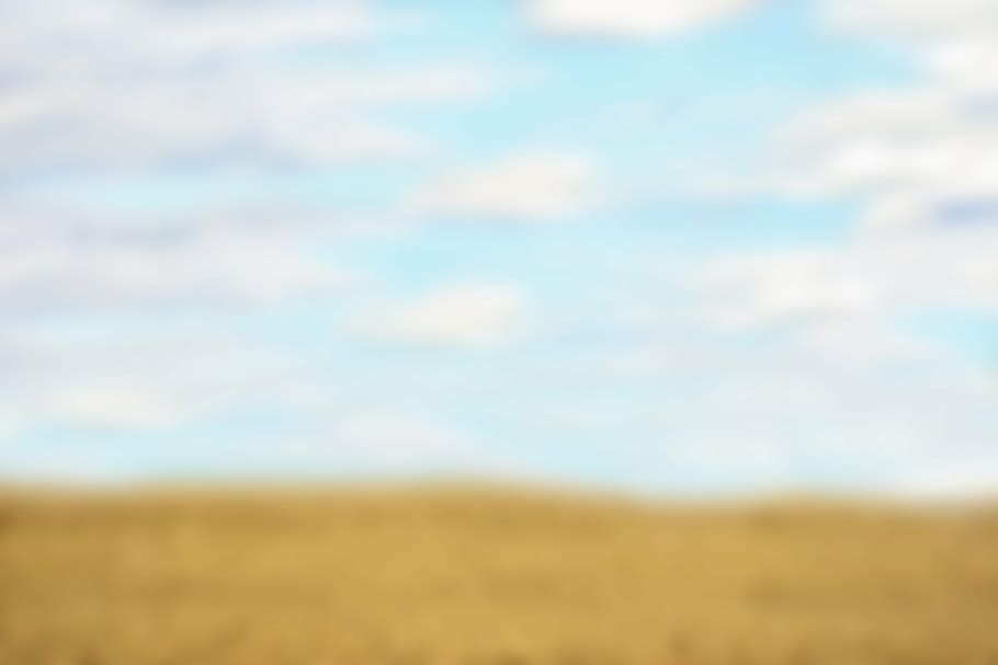 white clouds, landscape, field, sky, summer, background, text dom HD wallpaper