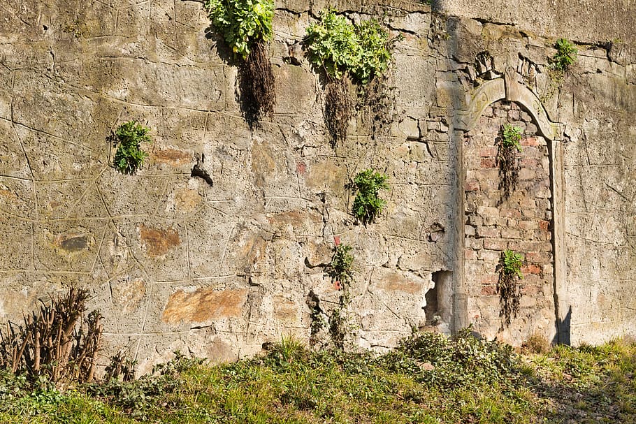 wall, antique, old, historically, goal, fortress, architecture HD wallpaper