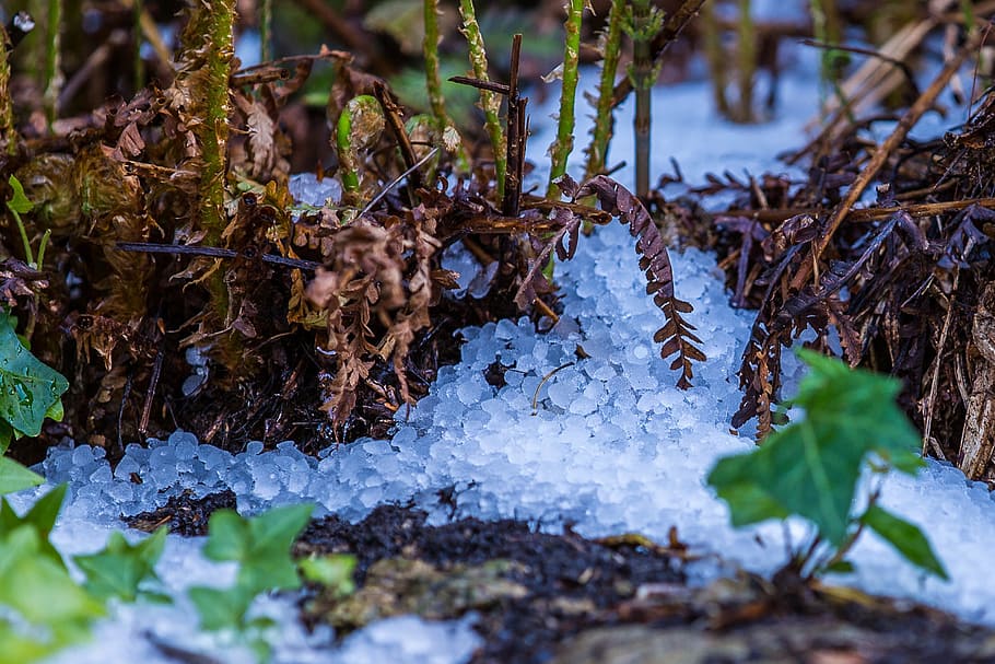 Hail, Storm, Hailstones, great balls of fire, ice lumps, nature, HD wallpaper
