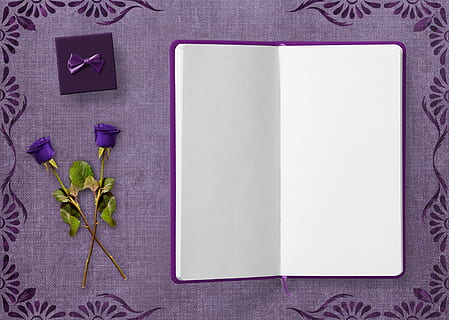 purple notebook and purple roses, diary, gift, frame, flowers HD wallpaper