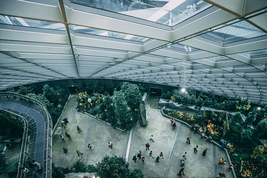 people walking towards trees, aerial view of people beside concrete building HD wallpaper