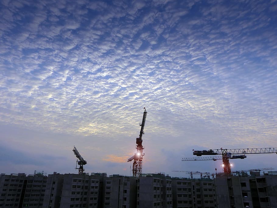 three crane on top of concrete buildings, Construction, Site
