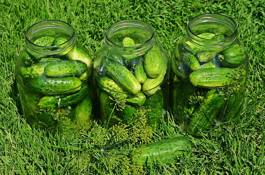pickled cucumbers inside glass jars, vegetables, eating, kitchen HD wallpaper